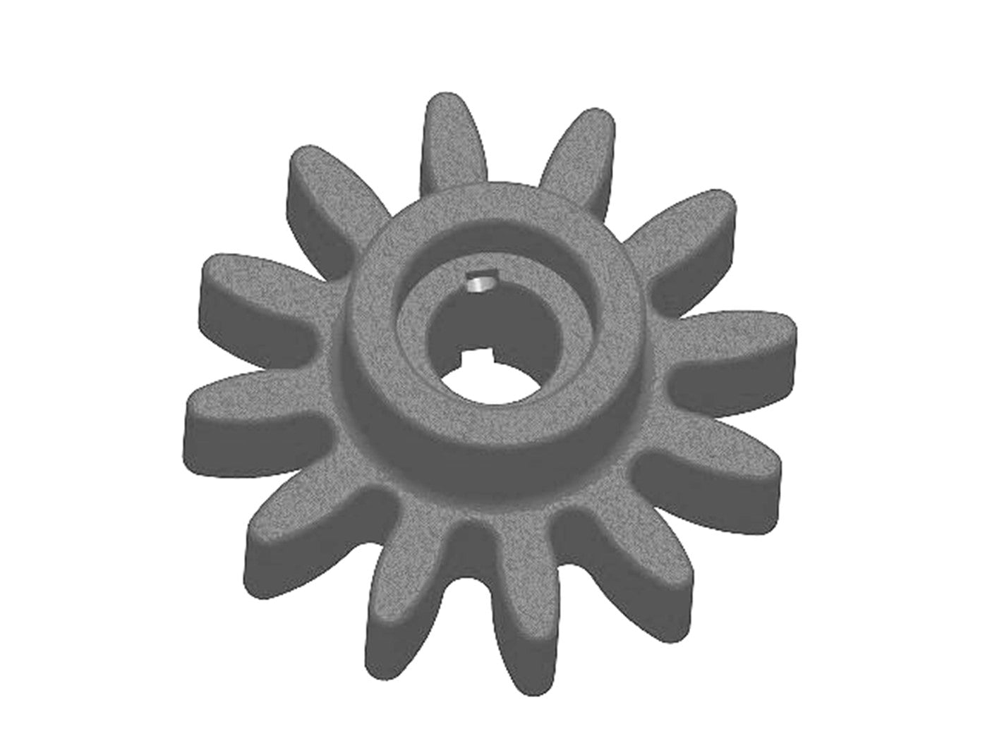 S101M - Star Gear, 12-Tooth, B-Hub, 25mm Bore, 50mm LTB, 8mm Keyway, Cast Iron, Raute